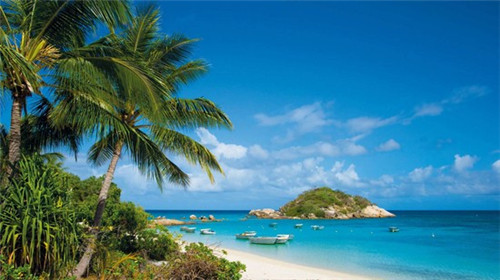 石小沫煎饼果儿