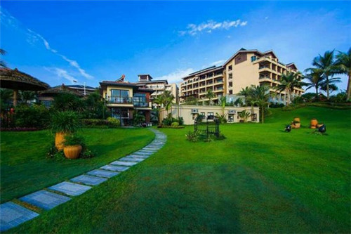 一只鲍鲍汁焖鸡