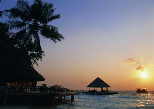 任小憨双面排骨饭