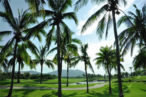 堡乐多炸鸡汉堡