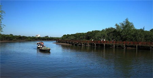 青海黑枸杞10大品牌