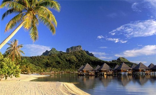 辅食店创业记录怎么写的