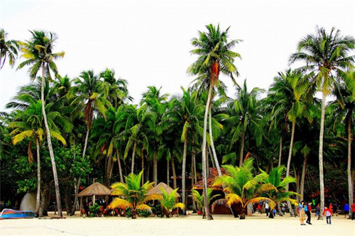 广西奶茶加盟店哪个好点，广西奶茶加盟费