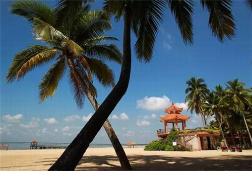 湖南绿叶水果加盟费多少