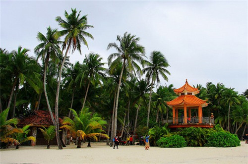 素允饭拍，素允奶茶加盟费多少