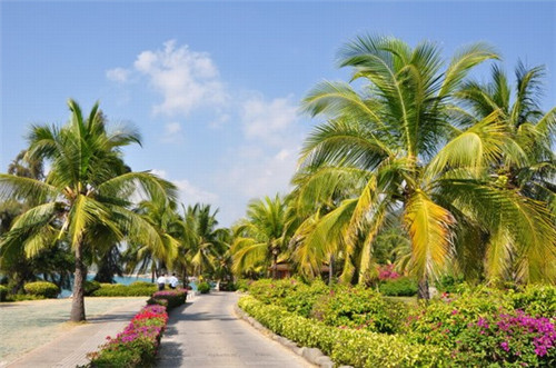 不加盟中式快餐品牌店会很难做吗，香掉牙千层饼值得加盟吗