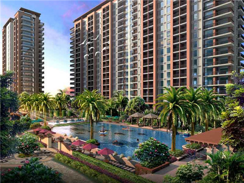 受德慈善会是道教还是佛教（受德慈善会是道教还是佛教啊）